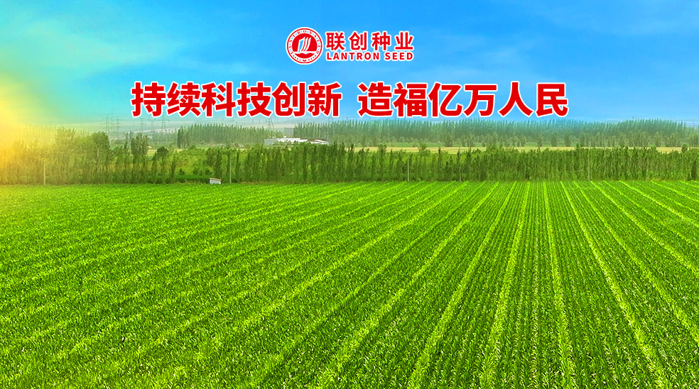 聯(lián)創(chuàng)種業(yè)控股黑龍江乾吉耕耘，南北協(xié)同驅(qū)動(dòng)中國(guó)玉米種業(yè)新格局